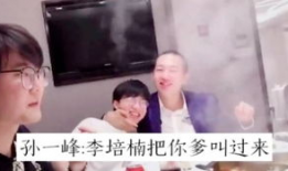 李培楠f91直播,揭秘电竞选手背后的奋斗与成长