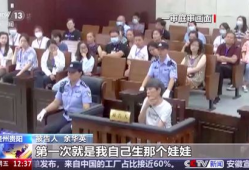 庭审视频,争议焦点与关键证据呈现